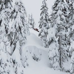 Meet your Posher, Cody